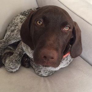 Meet your Posher, Cynthia